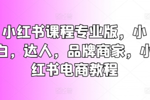 小红书课程专业版,小白,达人,品牌商家,小红书电商教程
