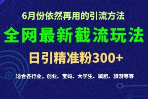 2024全网最新截留玩法,每日引流突破300+