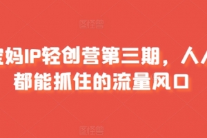 宝妈IP轻创营第三期,人人都能抓住的流量风口