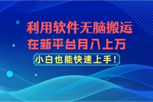 利用软件无脑搬运,在新平台月入上万,小白也能快速上手