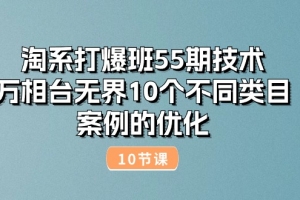 淘系打爆班55期技术:万相台无界10个不同类目案例的优化(10节)