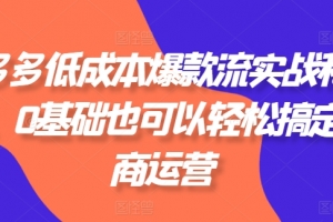 拼多多低成本爆款流实战私教课,0基础也可以轻松搞定电商运营