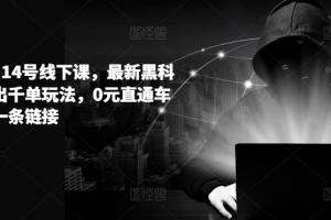 拼多多6月14号线下课,最新黑科技起爆日出千单玩法,0元直通车如何起飞一条链接