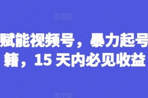 AI赋能视频号,暴力起号秘籍,15 天内必见收益
