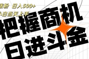 帮助涨粉,日入500+,覆盖抖音快手公众号客源广,小白可以直接上手