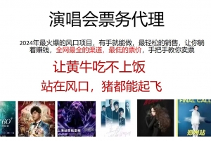 演唱会2024票务代理,全网最低的票价,手把手教你卖票,日入2000+