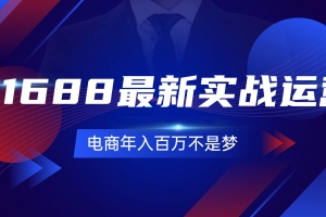 1688最新实战运营  0基础学会1688实战运营,电商年入百万不是梦-131节