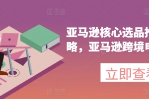 亚马逊核心选品推广新攻略,亚马逊跨境电商教程