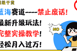 超级干货!蓝海赛道-禁止废话!最新升级玩法!完整实操教学!轻松月入过万!