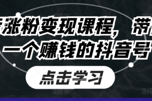 抖音涨粉变现课程,带你做一个赚钱的抖音号