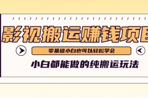 手把手教你操作影视搬运项目,小白都能做零基础也能赚钱