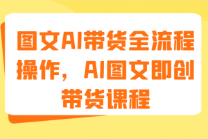 图文AI带货全流程操作,AI图文即创带货课程(9节)
