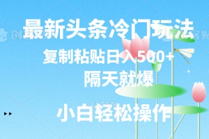 最新头条冷门玩法,隔天就爆,复制粘贴日入500+