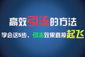 高效引流的方法,可以帮助你日引300+创业粉,一年轻松收入30万,比打工强太多!