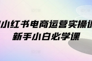 1V1小红书电商运营实操课,新手小白必学课