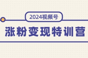 2024视频号-涨粉变现特训营:一站式打造稳定视频号涨粉变现模式(10节)