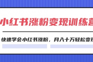 2024小红书19天涨粉变现特训营,快速学会小红书涨粉,月入十万轻松变现(42节)