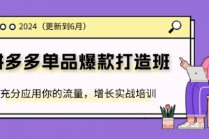 2024拼多多单品爆款打造班,充分应用你的流量,增长实战培训(更新6月)