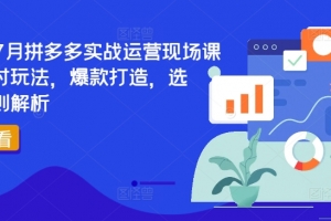 2024年7月拼多多实战运营现场课程,实时玩法,爆款打造,选品、规则解析