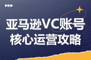 亚马逊VC账号核心玩法解析,实战经验拆解产品模块运营技巧,提升店铺GMV,有效提升运营利润