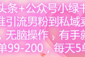 微头条+公众号小绿书,精准引流男粉到私域卖套图,无脑操作,有手就行,每单99-200,每天5单
