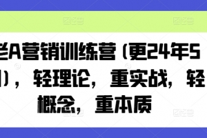 老A营销训练营(更24年6月),轻理论,重实战,轻概念,重本质