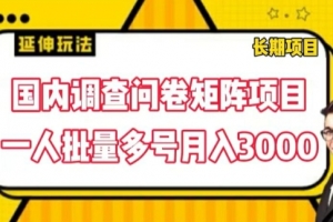 国内调查问卷矩阵项目,一人批量多号月入3000