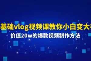 0基础vlog视频课教你小白变大神:价值20w的爆款视频制作方法
