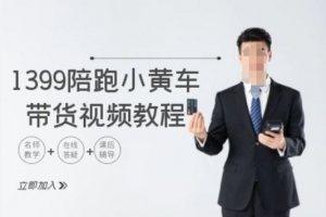 1399陪跑tiktok小黄车带货视频教程,tiktok跨境电商教程