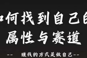 赛道和属性2.0:如何找到自己的属性与赛道,赚钱的方式是做自己