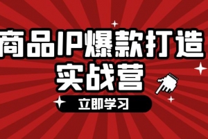 商品-IP爆款打造实战营【第四期】,手把手教你打造商品IP,爆款 不断