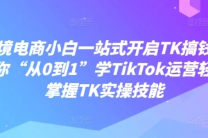 跨境电商小白一站式开启TK搞钱,教你“从0到1”学TikTok运营轻松掌握TK实操技能