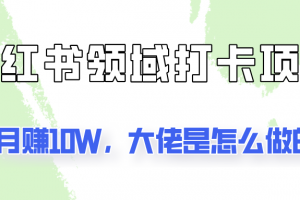 通过小红书领域打卡项目2个月赚10W,大佬是怎么做的?
