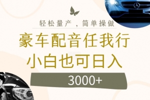 不为人知的暴力小项目,豪车配音,日入几张