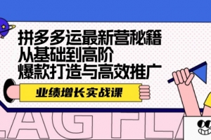 拼多多运最新营秘籍:业绩增长实战课,从基础到高阶,爆款打造与高效推广