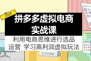 拼多多虚拟电商实战课:利用电商思维进行选品+运营,学习高利润虚拟玩法