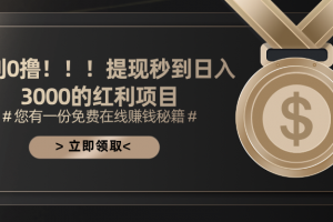 暴利0撸!!!提现秒到日入3000的红利项目