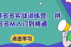 最新拼多多实战训练营, 拼多多从入门到精通