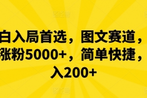 小白入局首选,图文赛道,一周涨粉5000+,简单快捷,日入200+