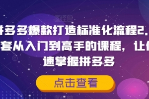 拼多多爆款打造标准化流程2.0,一套从入门到高手的课程,让你快速掌握拼多多
