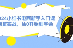 2024小红书电商新手入门课,店群实战,从0开始到学会(31节)