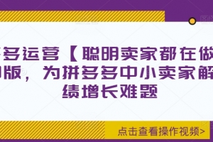 拼多多运营【聪明卖家都在做】无水印版,为拼多多中小卖家解决业绩增长难题