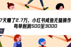 7天收了2.7万,小红书咸鱼无脑操作,每单利润500至3000
