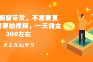 视频号橱窗带货,不需要直播,不需要拍视频,一天佣金300左右