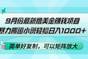 9月份最新撸美金赚钱项目,暴力搬运小说轻松日入1000+,简单好复制可以…