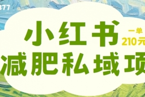 小红书减肥粉,私域变现项目,一单就达210元,小白也能轻松上手