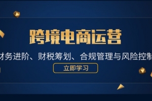 跨境电商运营:财务进阶、财税筹划、合规管理与风险控制