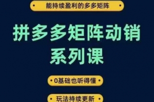 拼多多矩阵动销系列课,能持续盈利的多多矩阵,0基础也听得懂,玩法持续更新