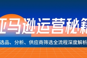 亚马逊运营秘籍:选品、分析、供应商筛选全流程深度解析(无水印)