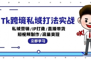Tk跨境私域打法实战:私域营销/IP打造/直播带货/短视频制作/流量变现